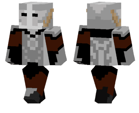 Paladin from the North Skin