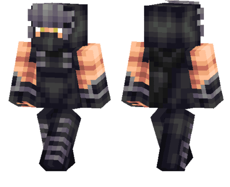 Ryu Hayabusa Skin