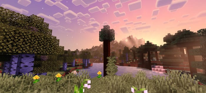 Newb X Ale Shaders