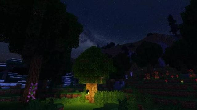 Zebra Shaders