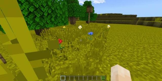 CSRS Shaders