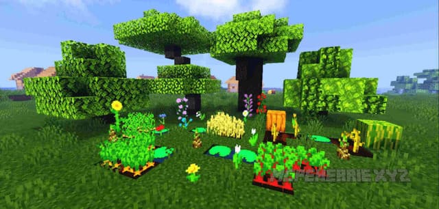 EB SHADER