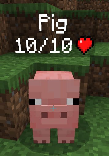 Simple Health Indicator Mod