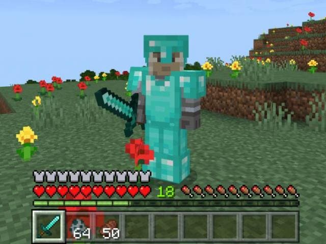 Sword Blocking