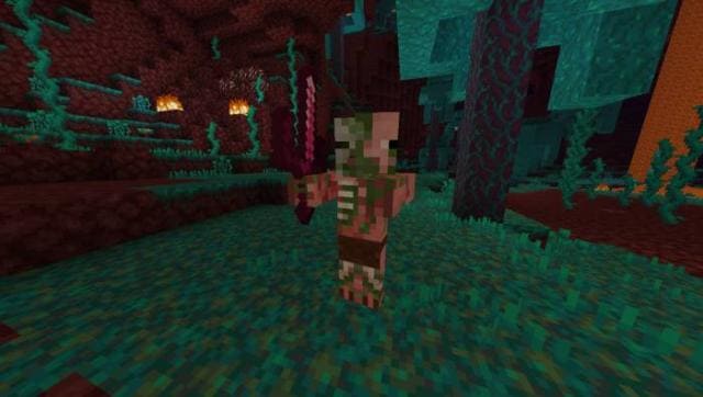 Old Pigman Plus