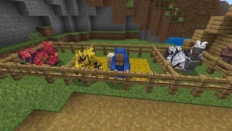 Chocobos