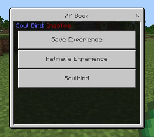 True Experience Book