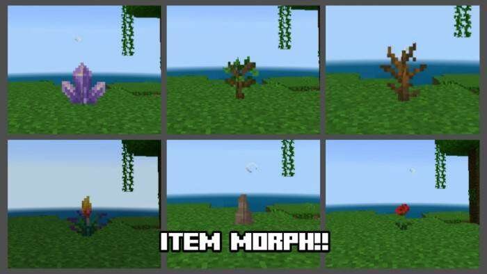 Item Morph