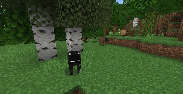 Dogs+ Add-on