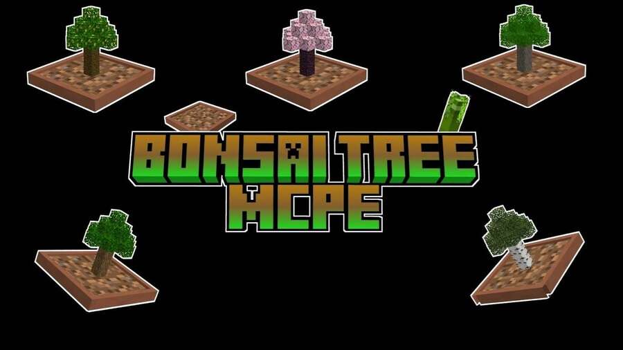 Bonsai Tree