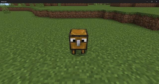 Crazy Chest