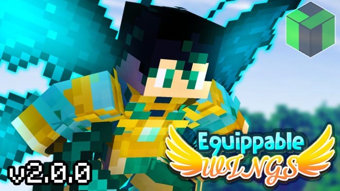 Equippable Wings