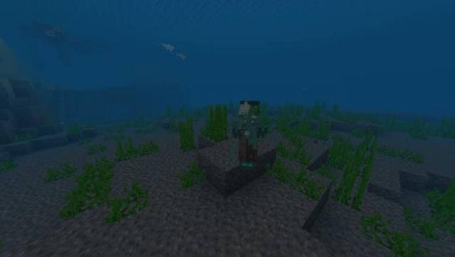 Drowned Mobs