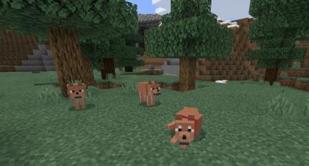 Wolves+