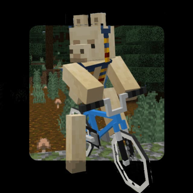 Mine BMX - Bikes