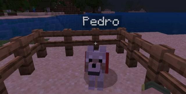 My Best Friend Pedro
