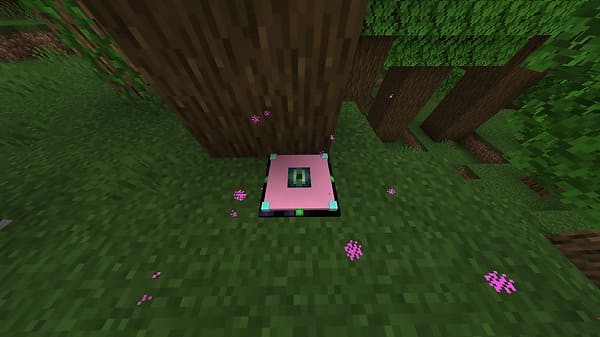 Bedrock Teleporters