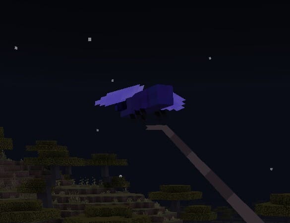 Lepidoptera