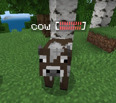 Any mob Health Display