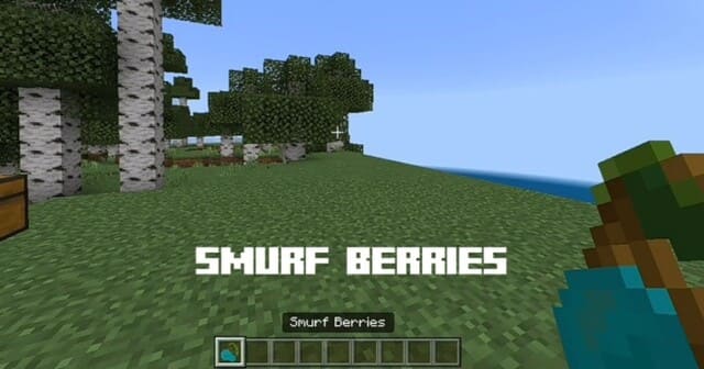 Cat Smurf Meme