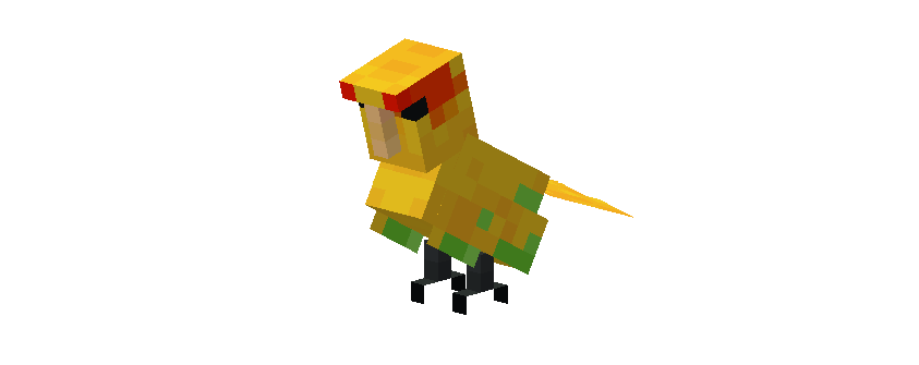 Scales and Feathers