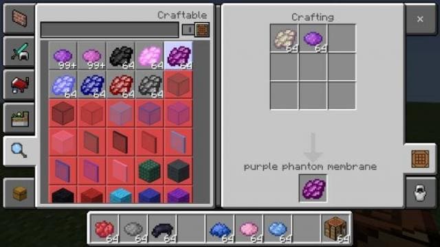 Colored Elytra