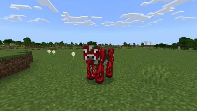 Better Bedrock