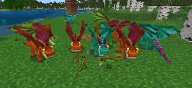 Dragonology