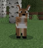 Extra Biomes and Mobs