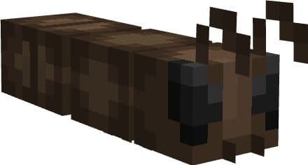 Ants Plus