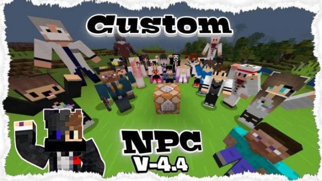 Custom NPCs