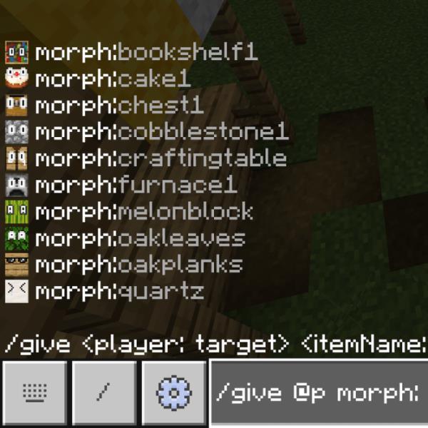 Block Disguise
