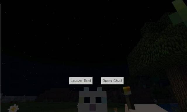 One Player Sleep Script