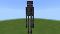 Enderman Burning Map