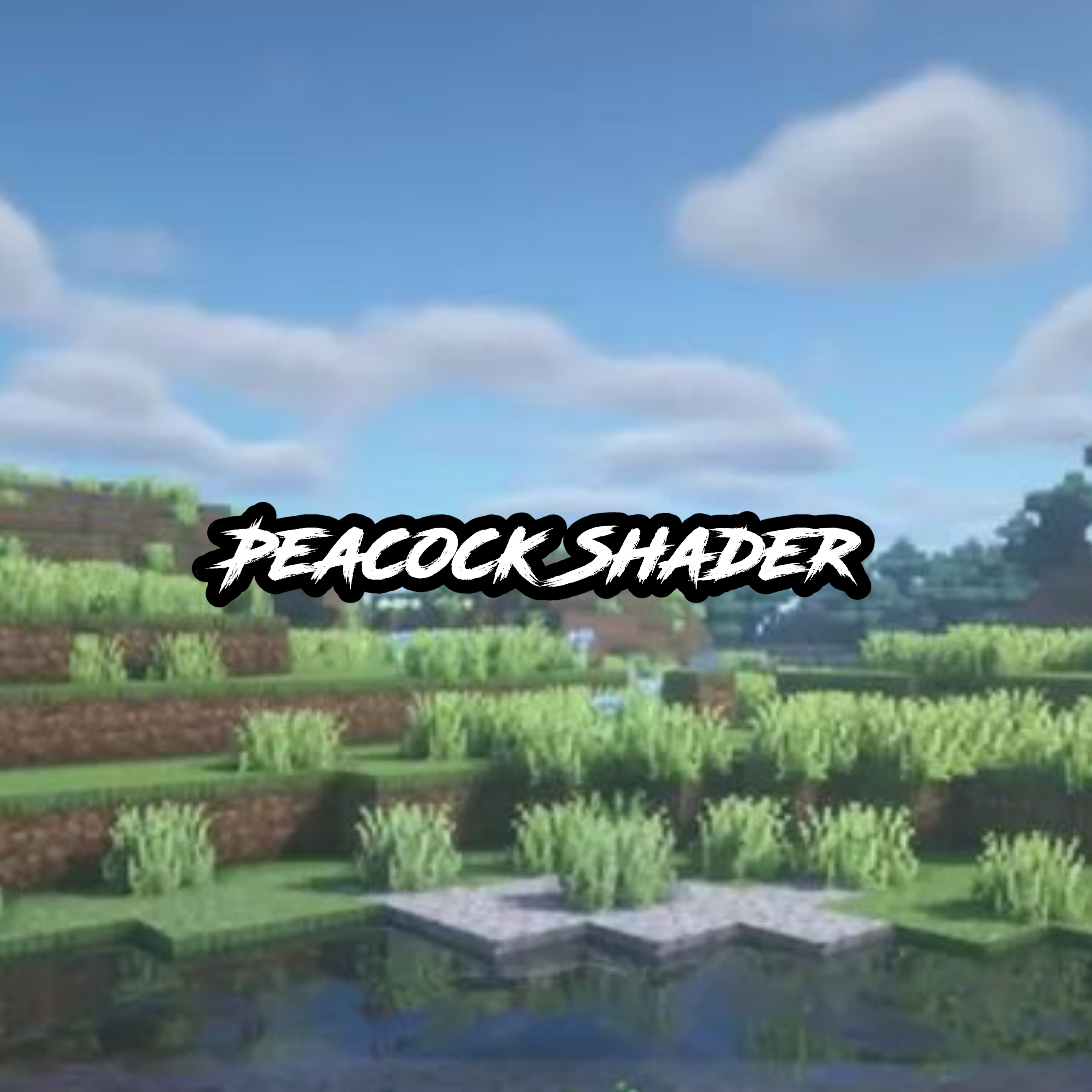 Peacock-Shader