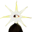 Java Broken