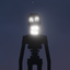 Scopophobia