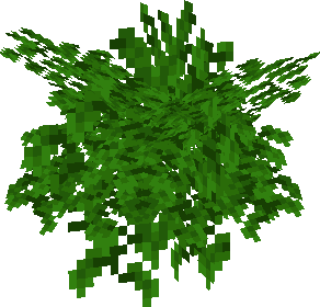 Tree Leaves Bushy