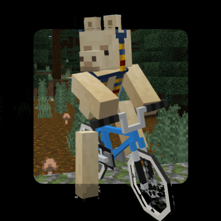 MINE BMX