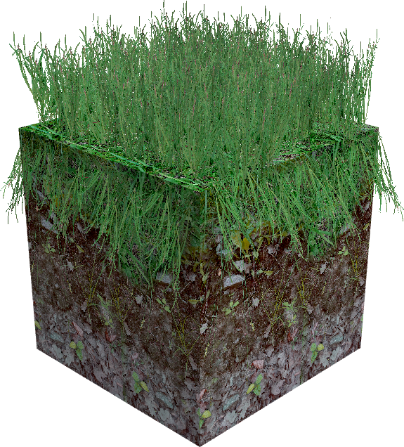 RTX_GRASS
