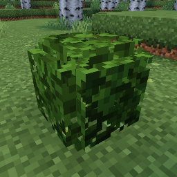 Almost Bushy Leaves