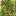 Lush Creeping Vines