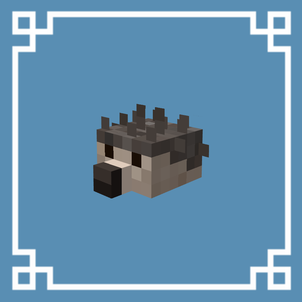 hedgehogs