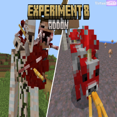 Experiment 8