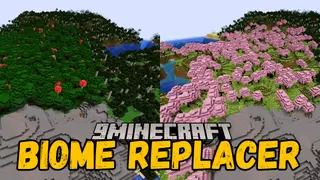 Biome Replacer Mod (26.2, 1.20.1) – Replaces One Biome with Another