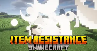 Item Resistance Mod (26.2, 1.20.1) – Protect Your Drops