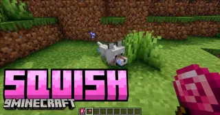 Squish Mod (1.20.1, 1.20) – Baby Form Lock