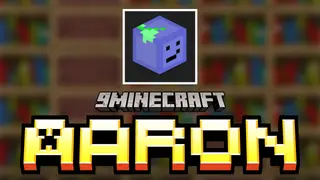 Aaron Mod (1.21.1, 1.20.1) – Code Library