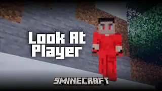 Look At Player Mod (1.21.11, 1.20.1) – Look At Nearby Players While AFK