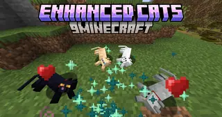 Enhanced Cats Mod (1.21.11, 1.20.1) – Treat Your Cat Well